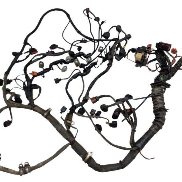 07D971610BF VW Passat 3BG W8 4.0L Motorkabelbaum