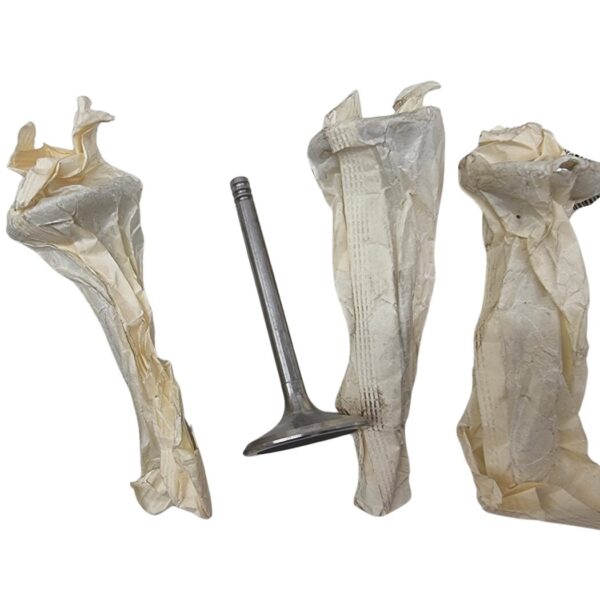 R4806/S Audi/VW/Seat/Skoda Freccia Motor Einlassventil 4 Stück Neu