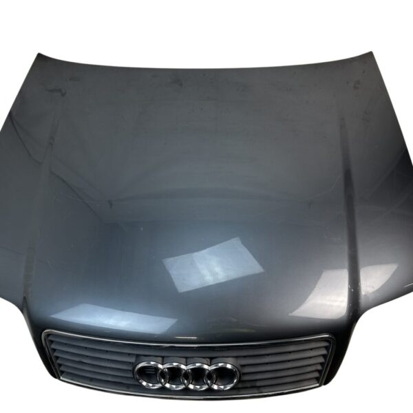 4B1823029B Audi A6 4B C5 Motorhaube LX7Z Delfingrau