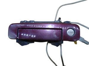 DSC05029